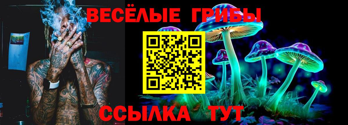 Острогожск  Галлюциногенные грибы Psilocybe  Вход с VPN 